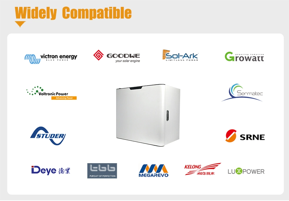 Ess UPS Inverter Rack Cabinet 48V 50ah 100ah LiFePO4 Battery 50 Kwh Lithium Li Ion Battery Module for Home